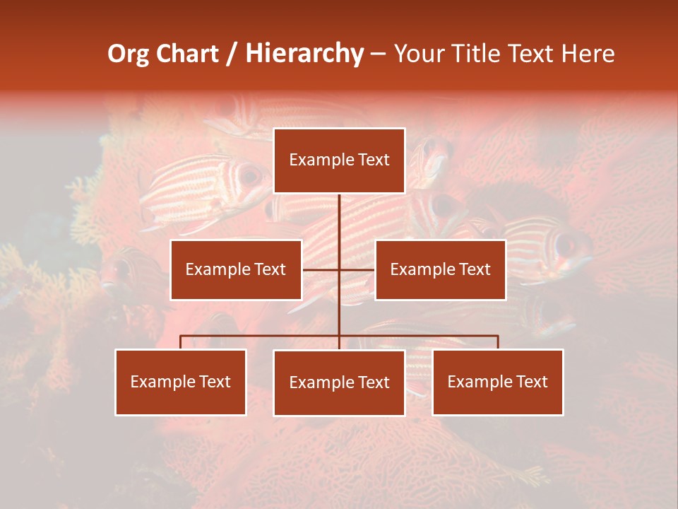 Island Animal Beauty PowerPoint Template