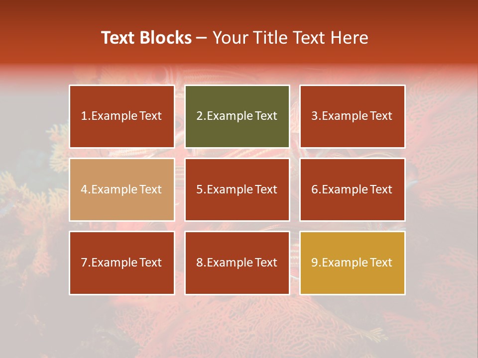 Island Animal Beauty PowerPoint Template