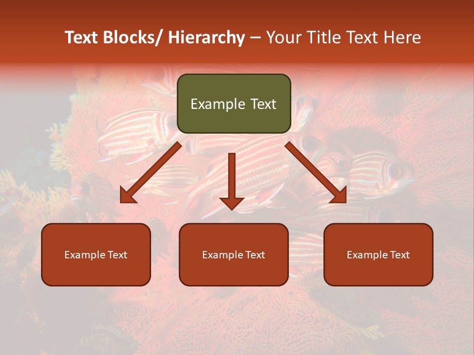 Island Animal Beauty PowerPoint Template