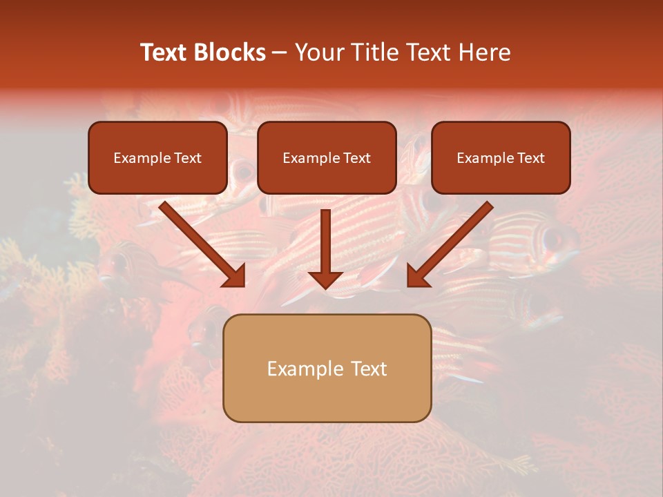 Island Animal Beauty PowerPoint Template