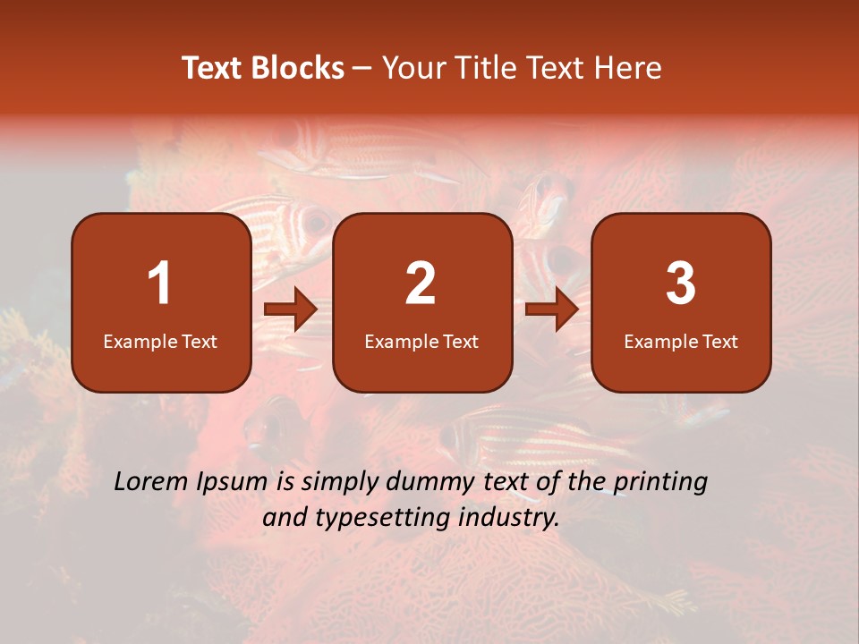 Island Animal Beauty PowerPoint Template