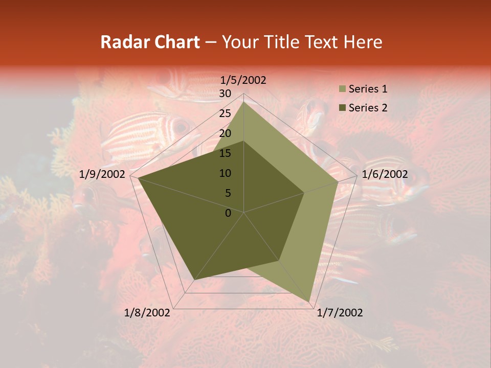 Island Animal Beauty PowerPoint Template