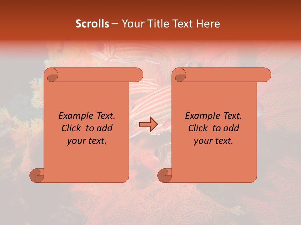 Island Animal Beauty PowerPoint Template