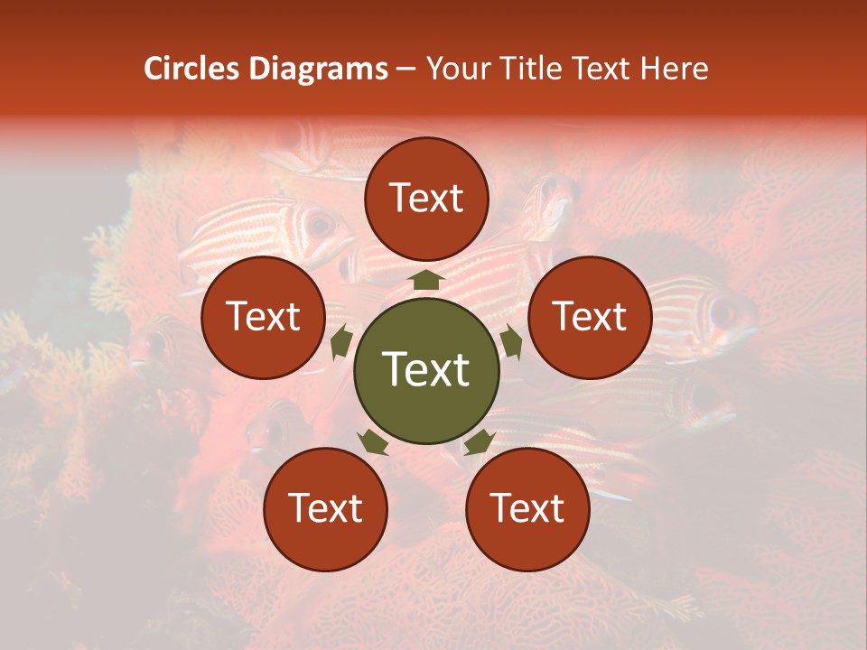 Island Animal Beauty PowerPoint Template