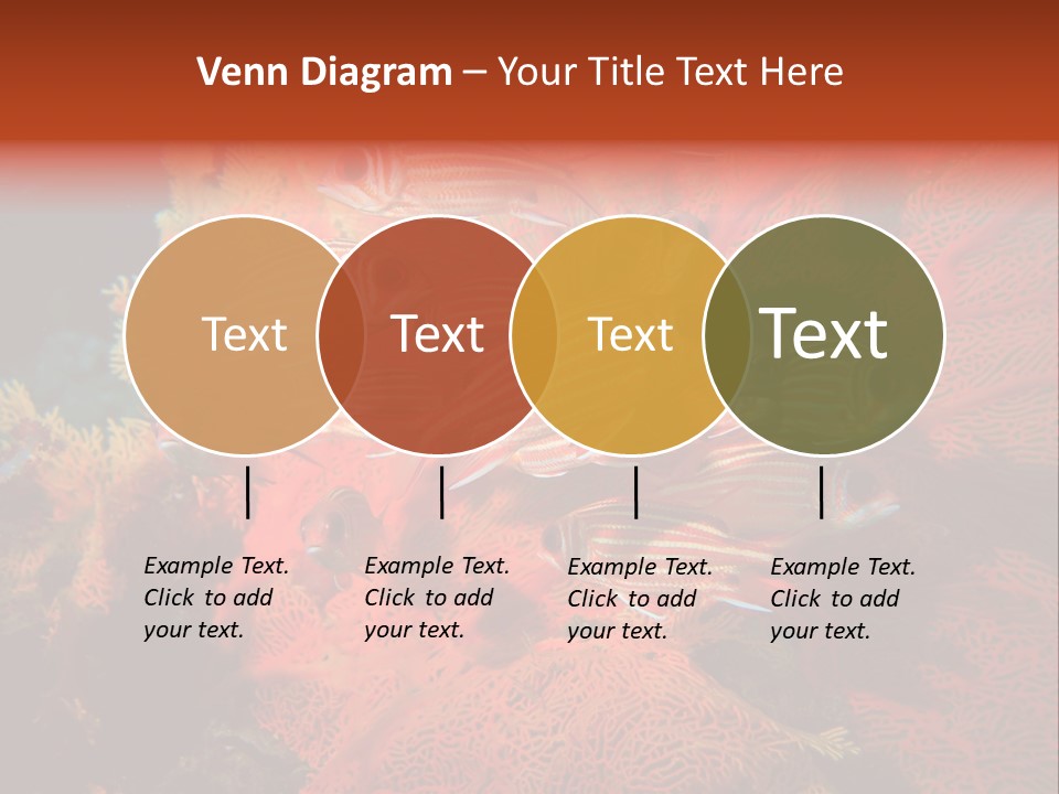 Island Animal Beauty PowerPoint Template