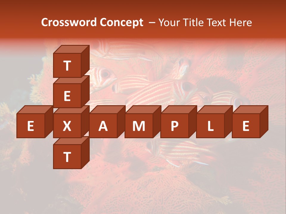 Island Animal Beauty PowerPoint Template