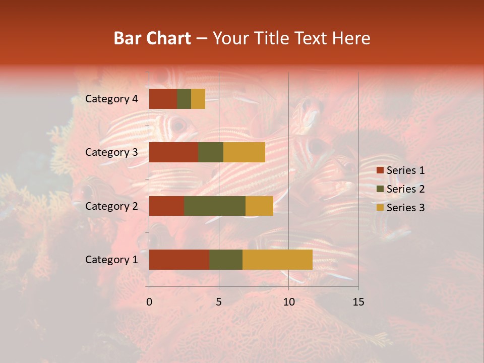 Island Animal Beauty PowerPoint Template