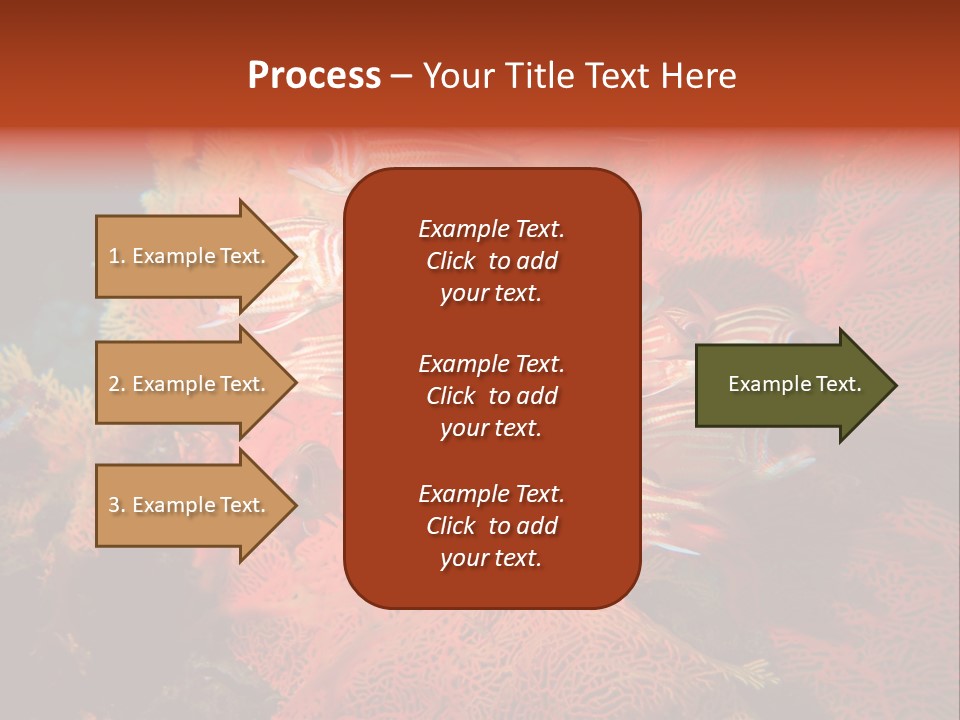 Island Animal Beauty PowerPoint Template