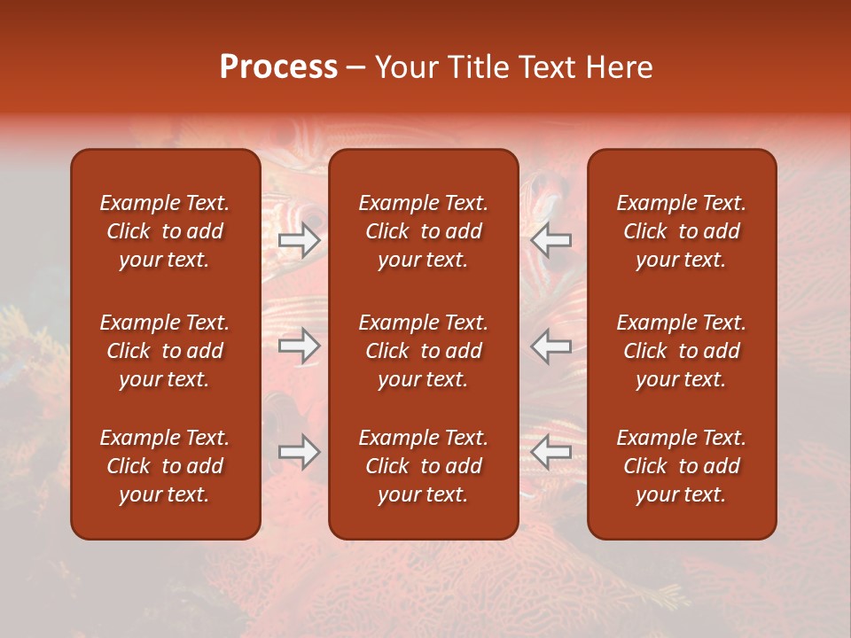 Island Animal Beauty PowerPoint Template