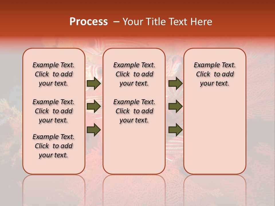 Island Animal Beauty PowerPoint Template