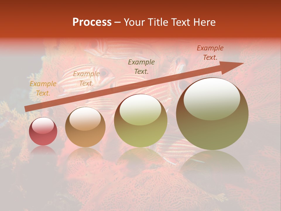 Island Animal Beauty PowerPoint Template