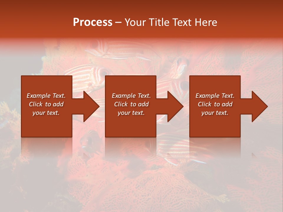 Island Animal Beauty PowerPoint Template