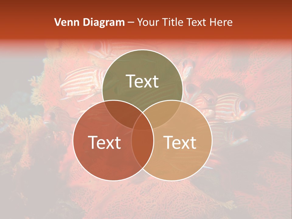 Island Animal Beauty PowerPoint Template