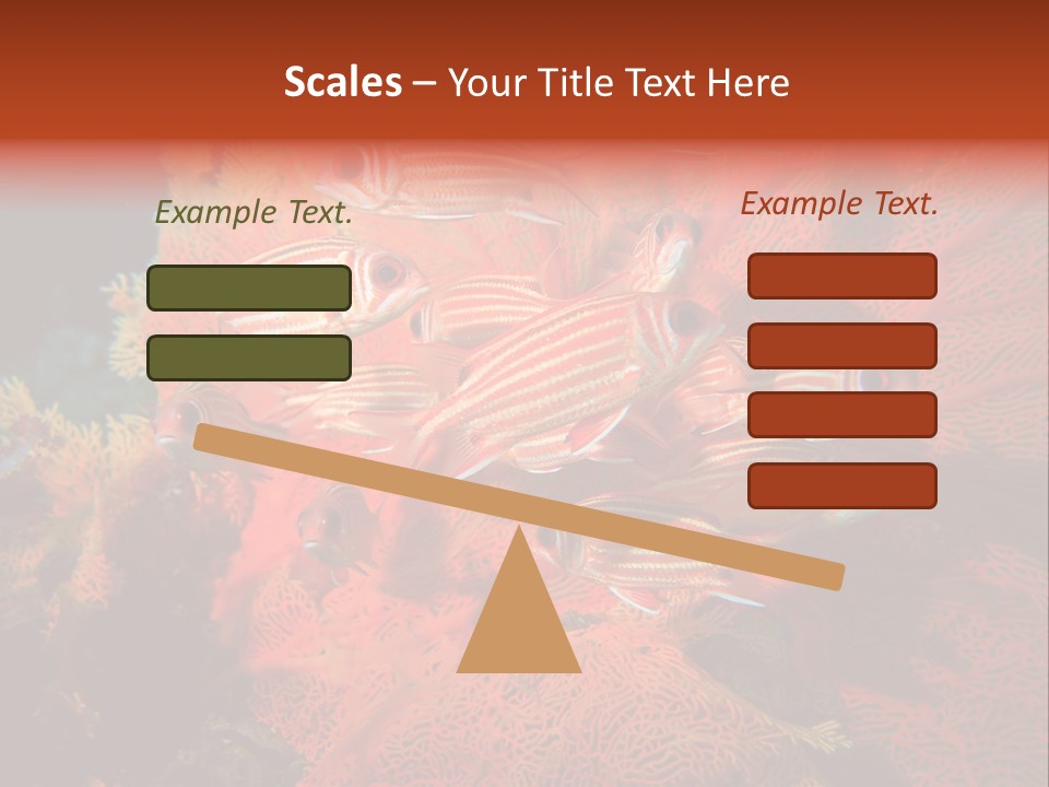 Island Animal Beauty PowerPoint Template