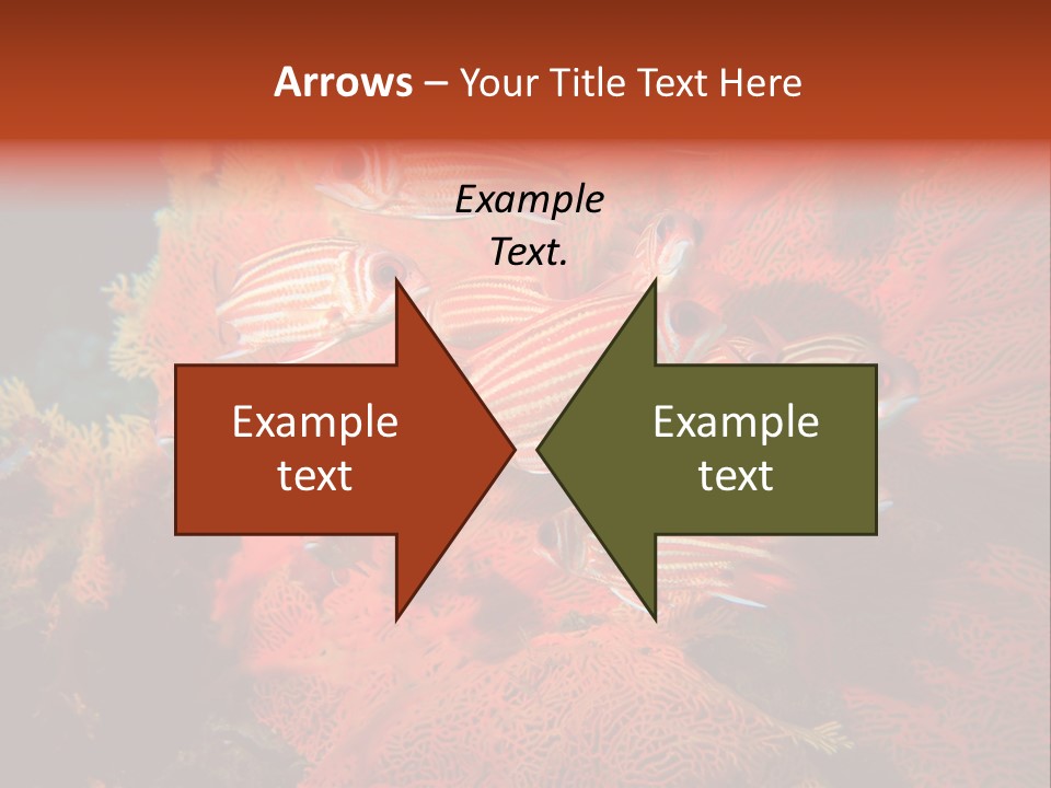 Island Animal Beauty PowerPoint Template