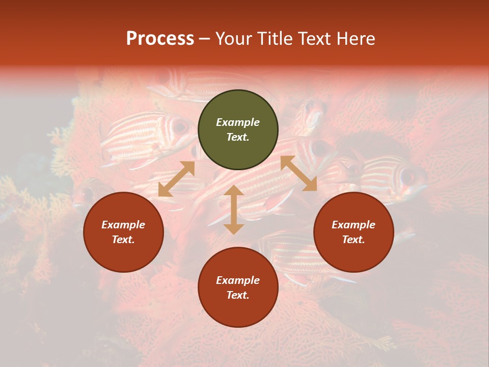 Island Animal Beauty PowerPoint Template