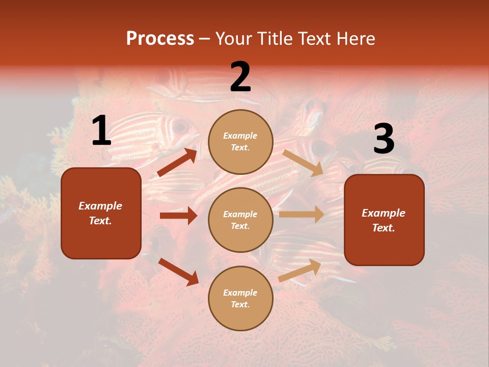 Island Animal Beauty PowerPoint Template