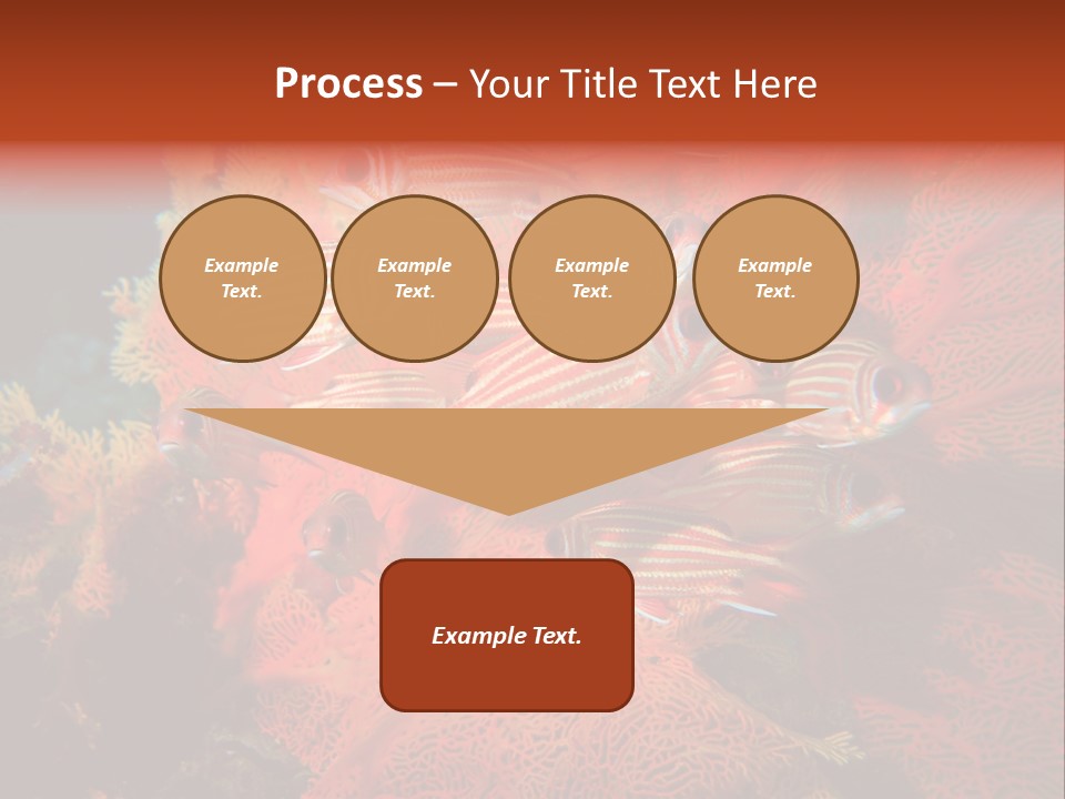 Island Animal Beauty PowerPoint Template