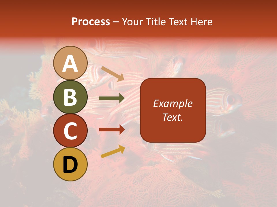 Island Animal Beauty PowerPoint Template