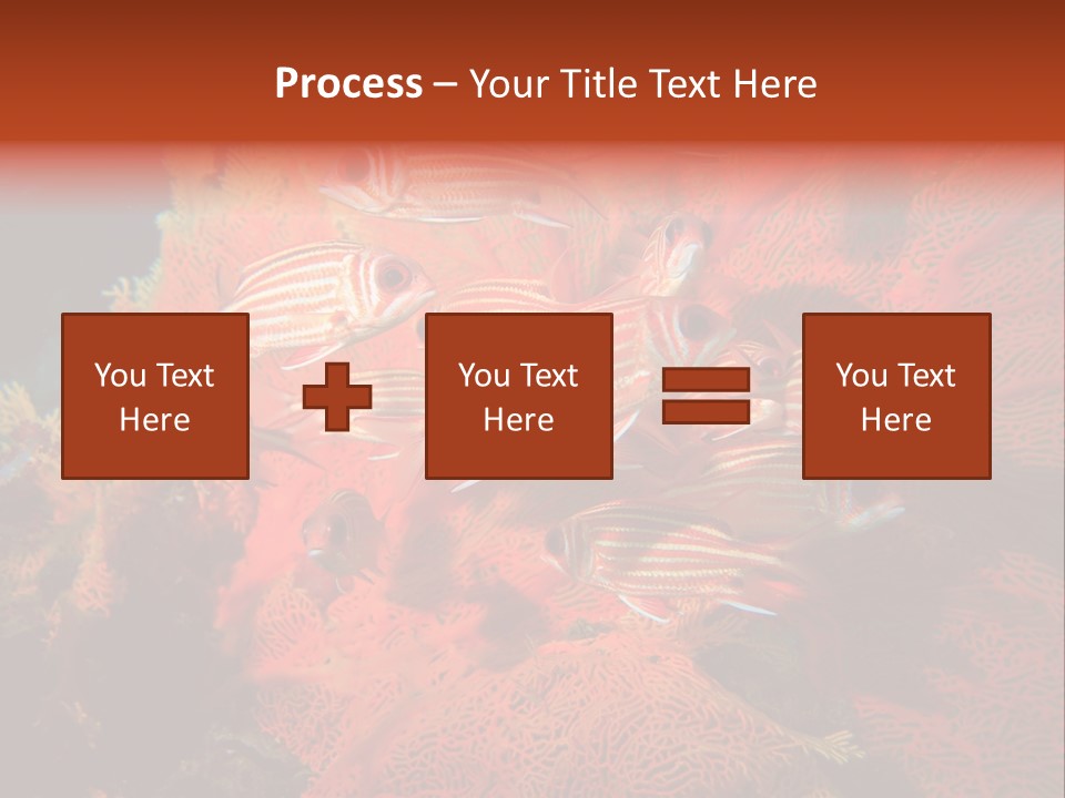 Island Animal Beauty PowerPoint Template