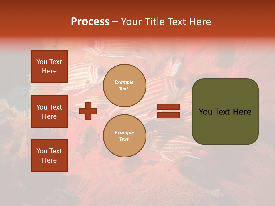 Island Animal Beauty PowerPoint Template