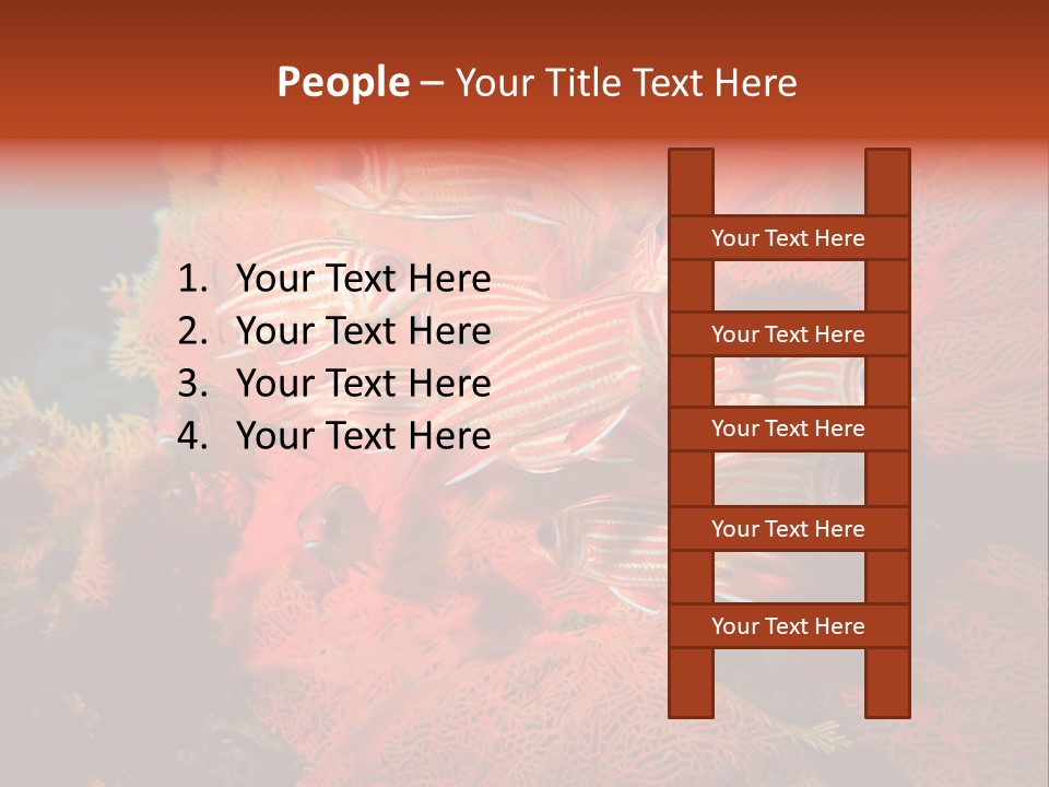 Island Animal Beauty PowerPoint Template