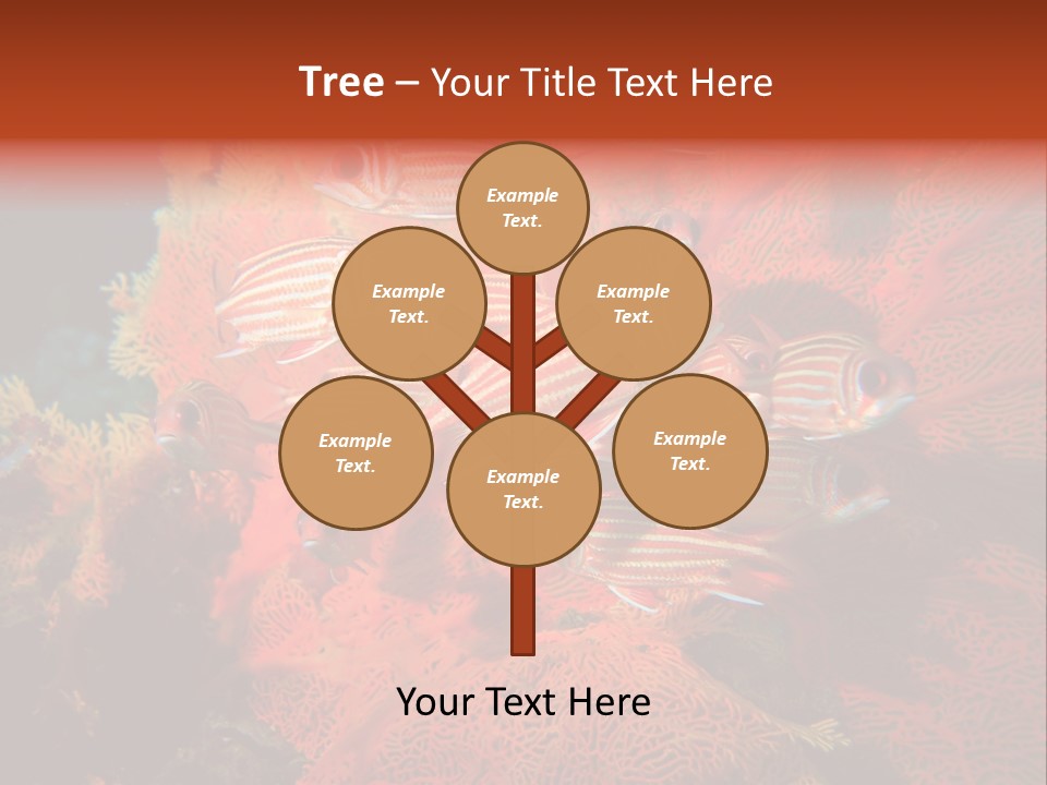 Island Animal Beauty PowerPoint Template