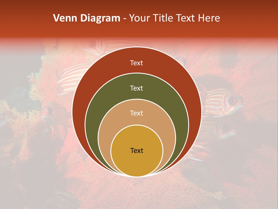 Island Animal Beauty PowerPoint Template