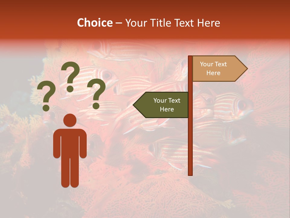 Island Animal Beauty PowerPoint Template