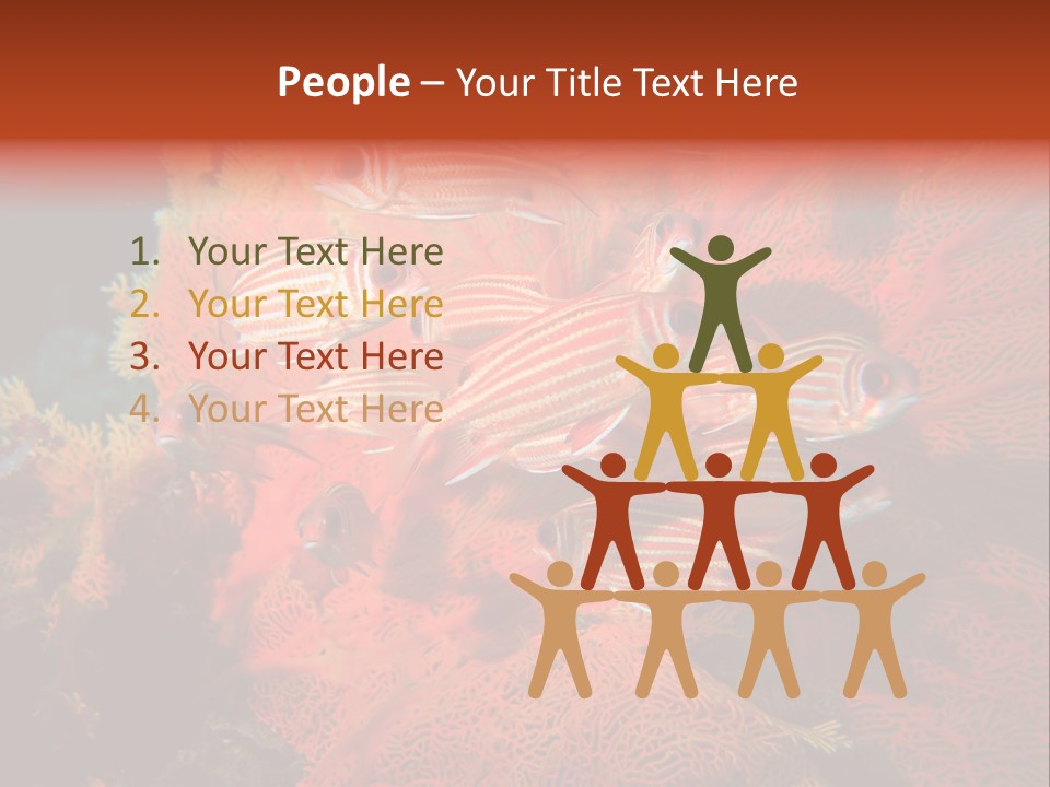 Island Animal Beauty PowerPoint Template