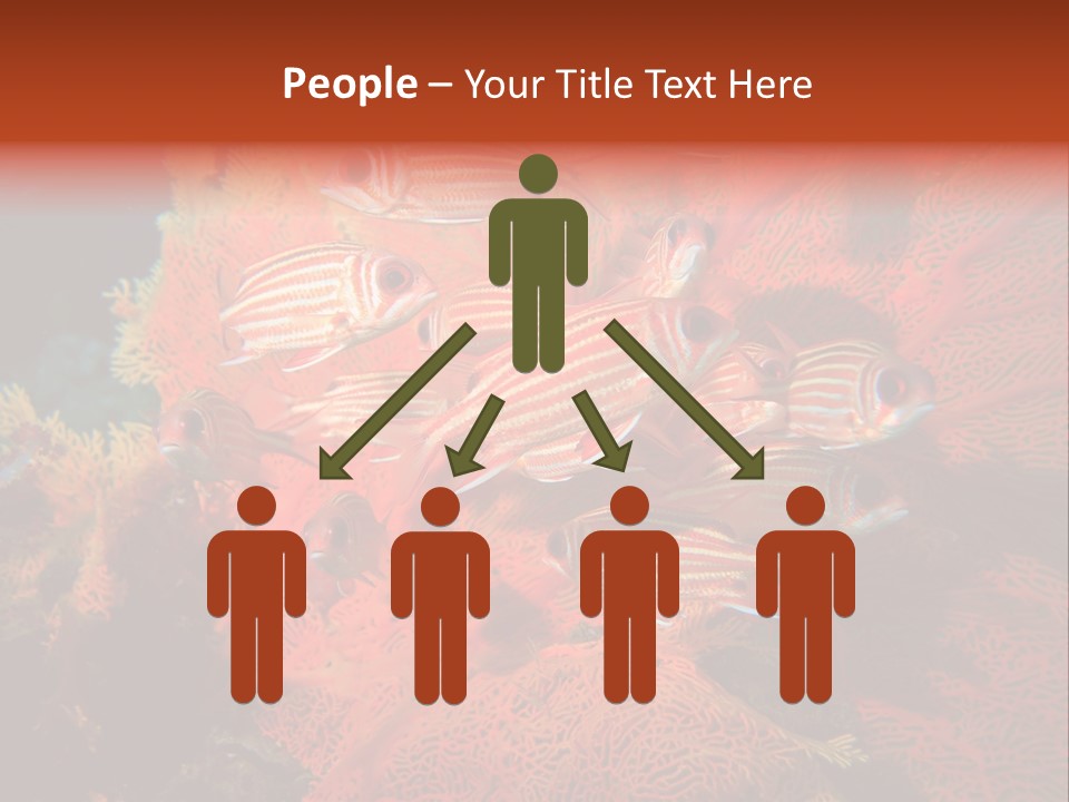 Island Animal Beauty PowerPoint Template