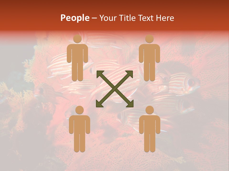 Island Animal Beauty PowerPoint Template