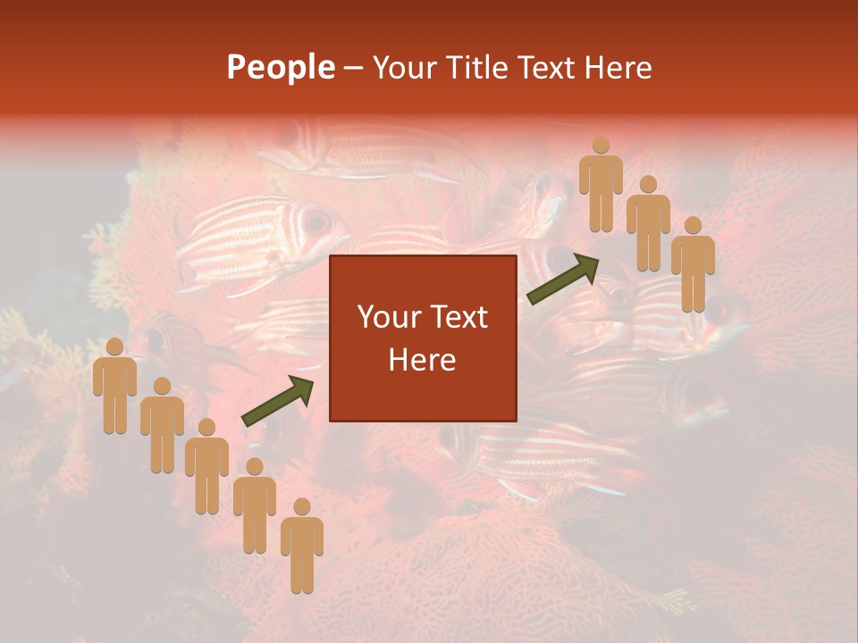 Island Animal Beauty PowerPoint Template