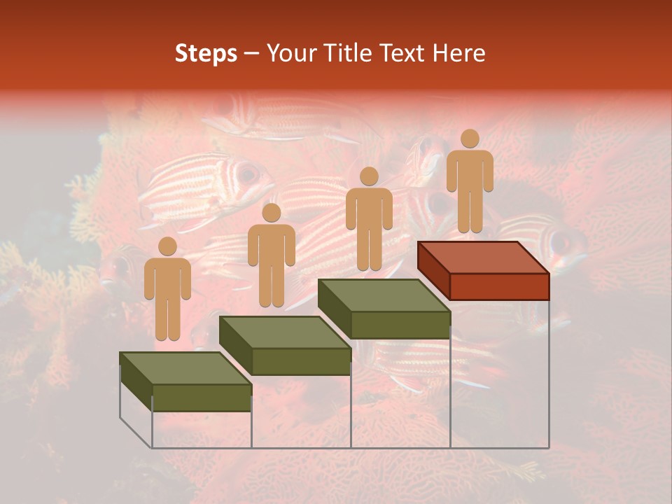 Island Animal Beauty PowerPoint Template