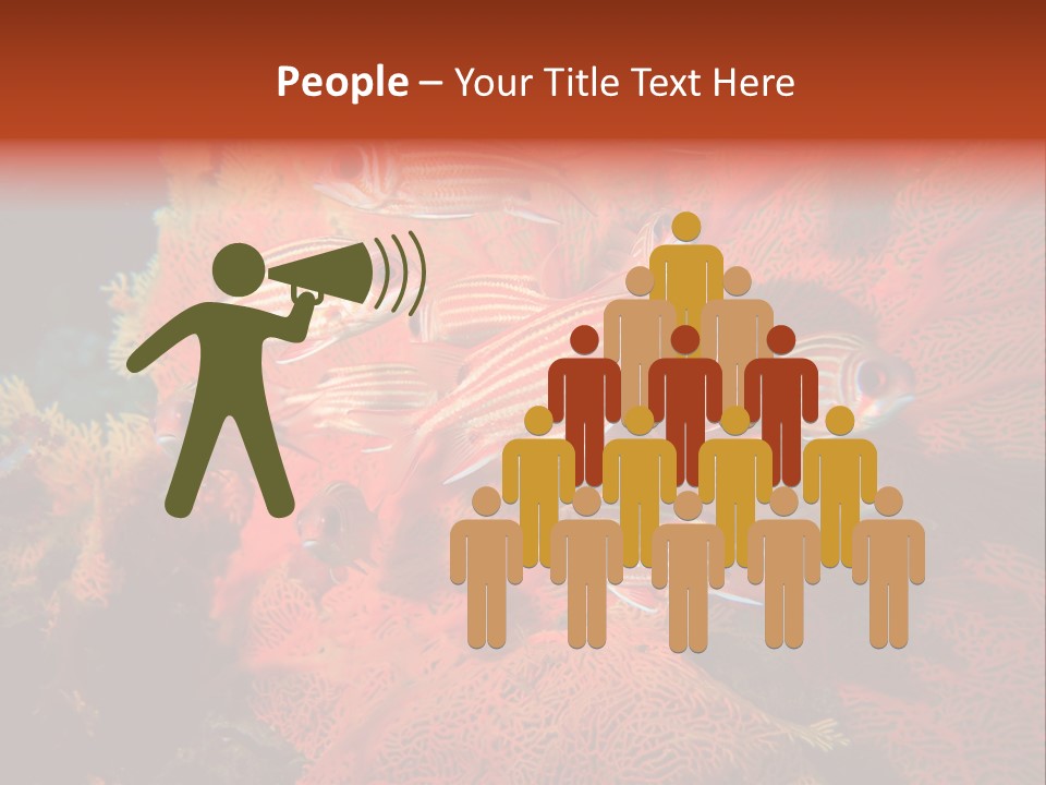 Island Animal Beauty PowerPoint Template