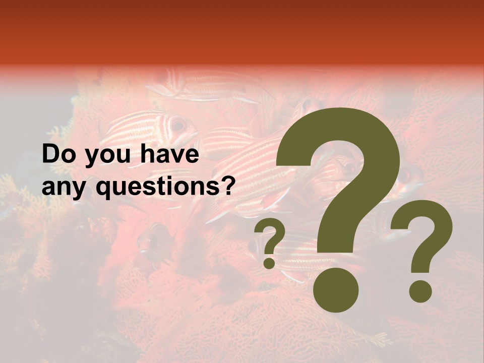 Island Animal Beauty PowerPoint Template