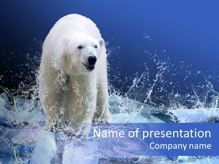 Fur Power Swim PowerPoint Template