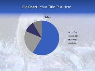 Fur Power Swim PowerPoint Template