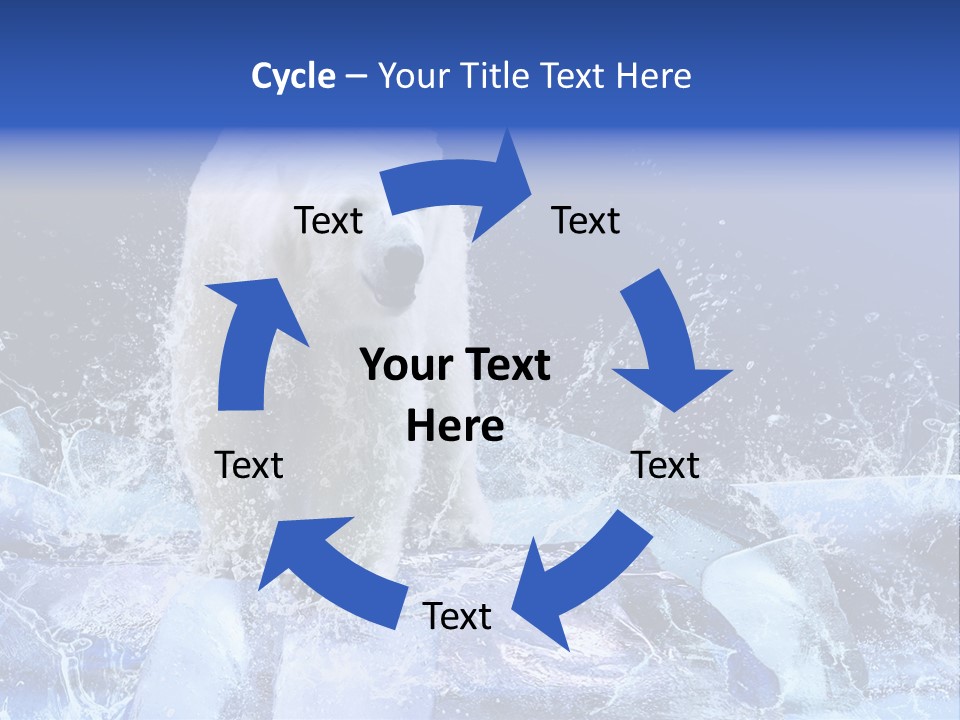 Fur Power Swim PowerPoint Template