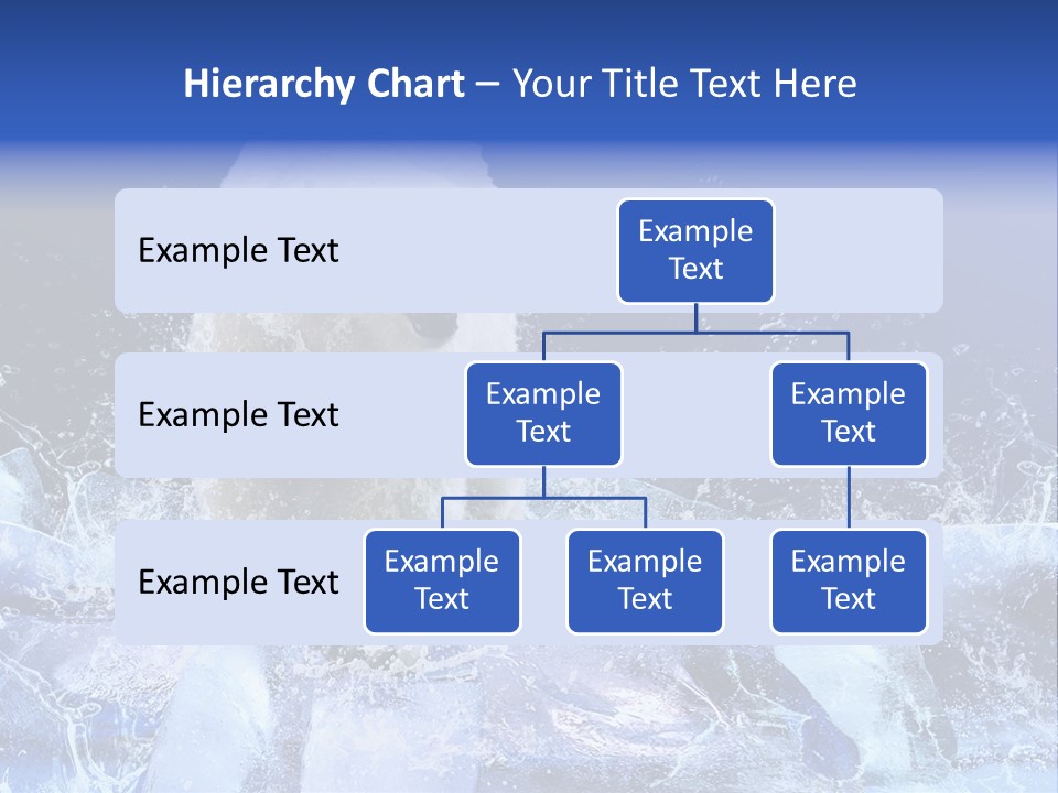 Fur Power Swim PowerPoint Template