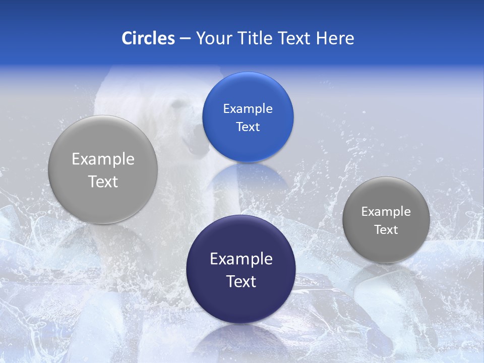 Fur Power Swim PowerPoint Template