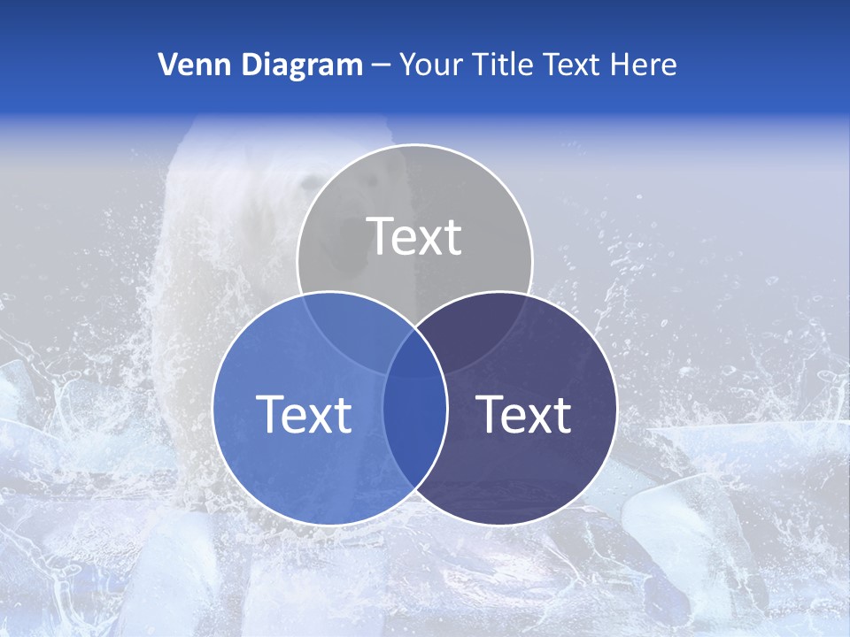 Fur Power Swim PowerPoint Template