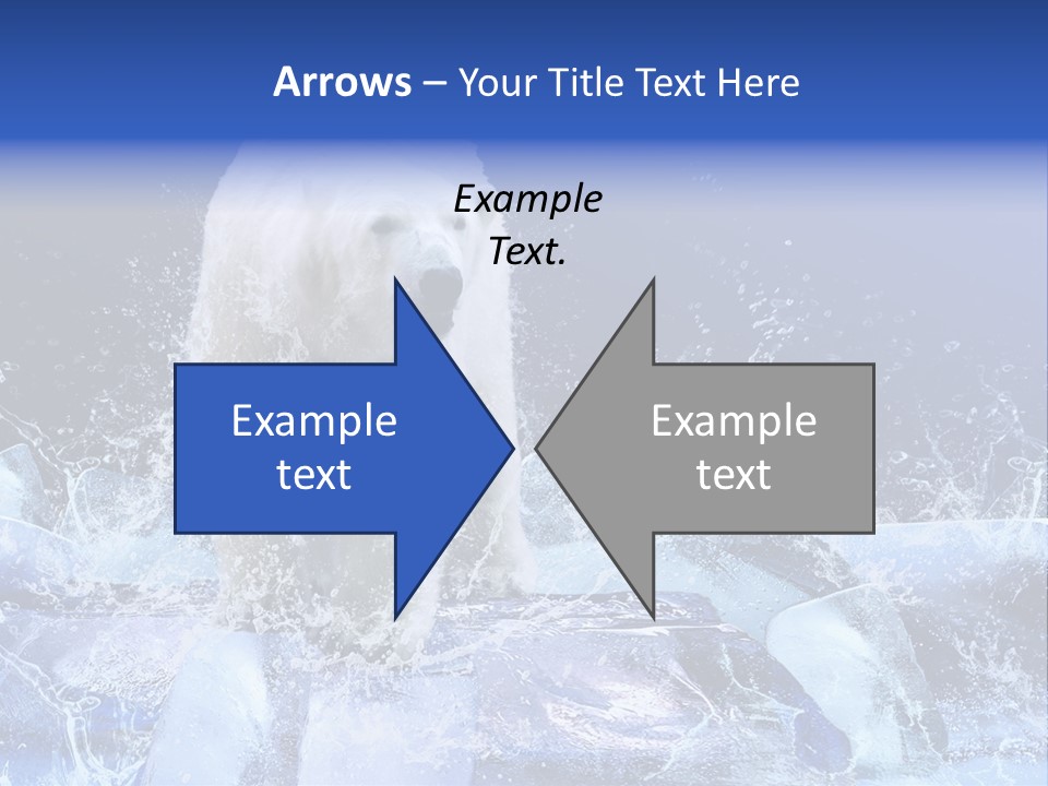 Fur Power Swim PowerPoint Template