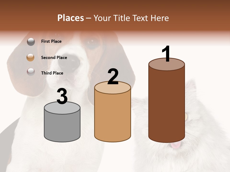 Animals Pretty Pet PowerPoint Template