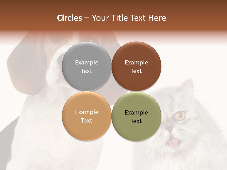 Animals Pretty Pet PowerPoint Template