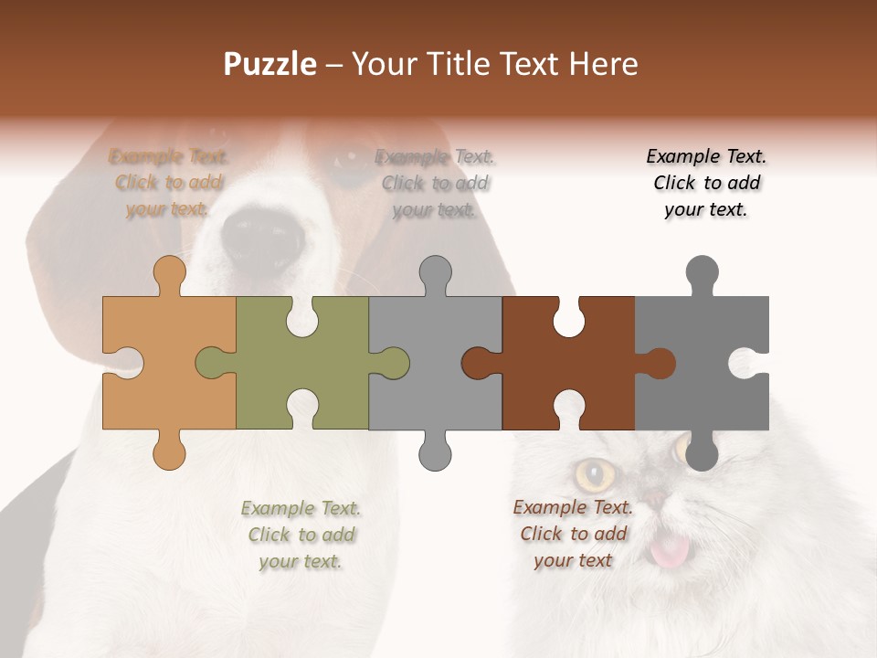 Animals Pretty Pet PowerPoint Template