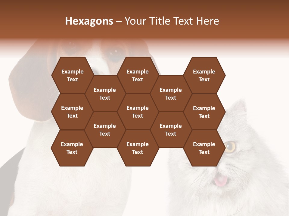 Animals Pretty Pet PowerPoint Template