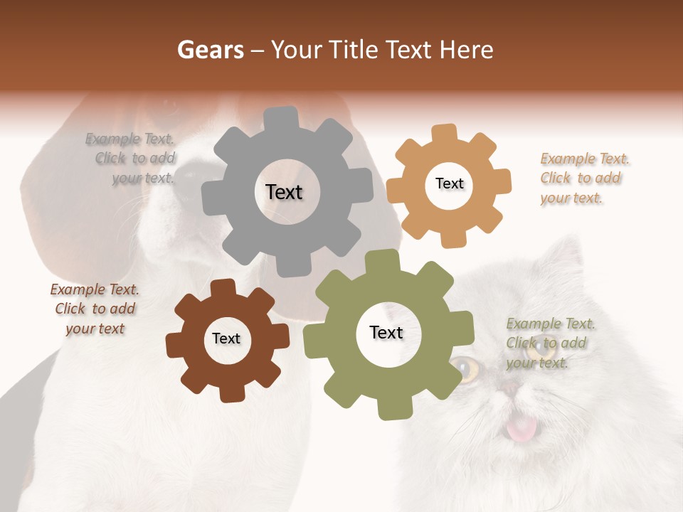 Animals Pretty Pet PowerPoint Template