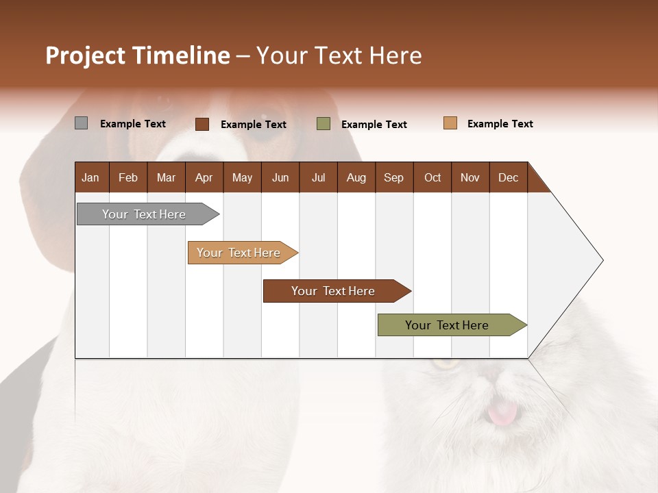 Animals Pretty Pet PowerPoint Template