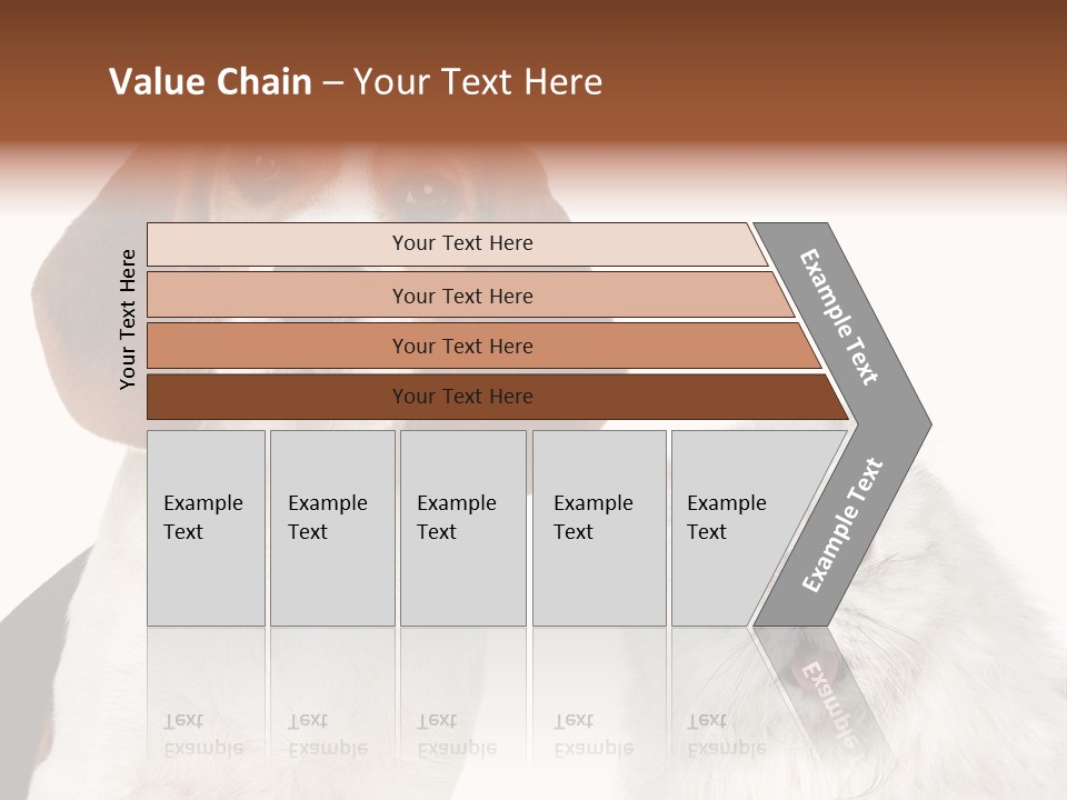 Animals Pretty Pet PowerPoint Template